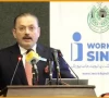 sindh to expand i work for sindh into govt employment programme sindh to expand i work for sindh into govt employment programme