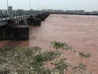 chenab in high flood at head marala