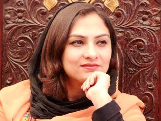 petition filed by pml n mna marvi memon against irrigation secretaries of punjab and sindh photo file