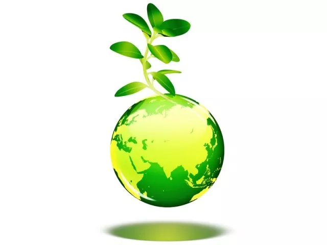 lawmaker insist one billion trees a possibility in three years photo file lawmaker insist one billion trees a possibility in three years photo file
