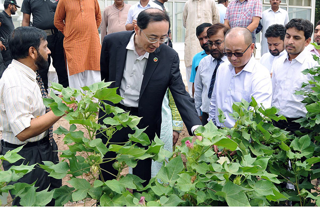 chinese ambassador says strengthening of agriculture sector vital photo app