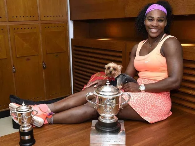 2015 wimbledon winner already has her mind on the us open photo afp 2015 wimbledon winner already has her mind on the us open photo afp