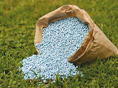 punjab records 57 increase in urea sale
