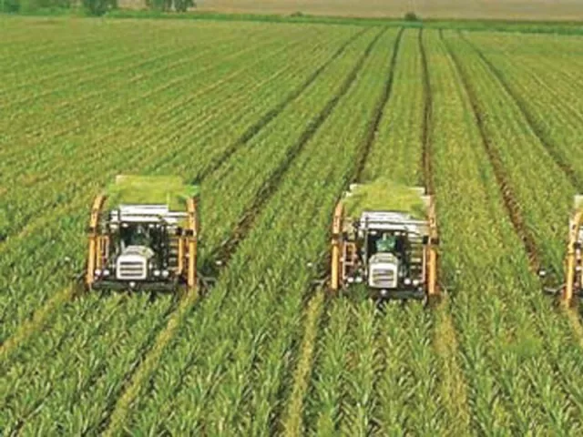 kissan ittehad chief criticises authorities for neglecting sector photo file kissan ittehad chief criticises authorities for neglecting sector photo file