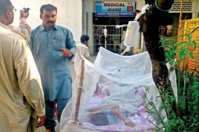 swat wins battle against dengue malaria successful
