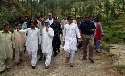 green day whistleblower legislation could help govt quell timber mafia says imran