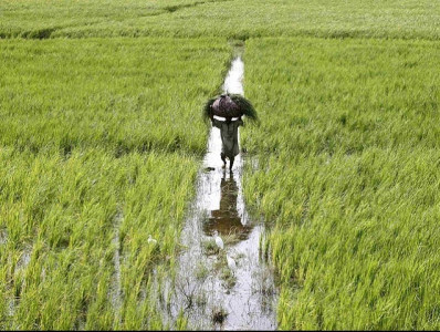 vision 2015 modern diversified agro sector vision 2015 modern diversified agro sector