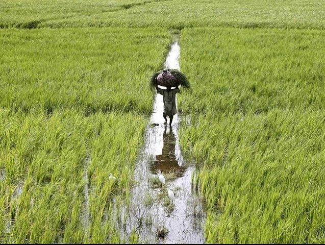 seventh agricultural census kicks off seventh agricultural census kicks off