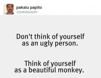 10 times pakalu papito summed up life perfectly