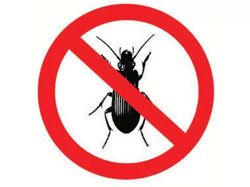 7 ways to keep your home pest free this monsoon 7 ways to keep your home pest free this monsoon