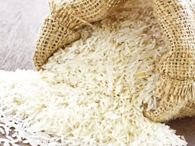 rice exports from pakistan have also suffered the same fate as receipts totalled only 1 84 billion during the financial year ended june 30 falling short of earnings made in the previous year stock image rice exports from pakistan have also suffered the same fate as receipts totalled only 1 84 billion during the financial year ended june 30 falling short of earnings made in the previous year stock image