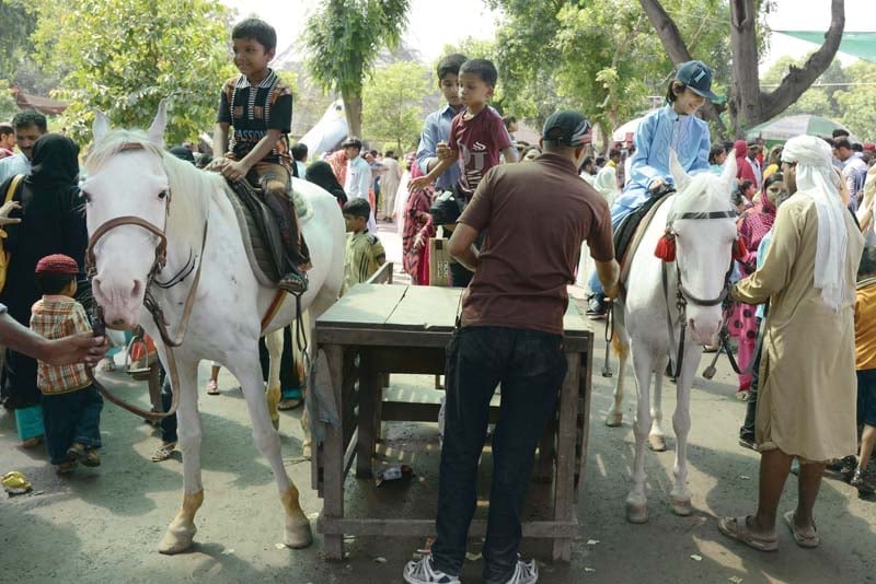 children riding horses at lahore zoo photo abid nawaz tariq hassan express