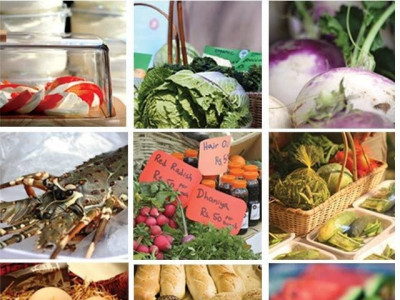 eight months on food security commission yet to hold first meeting eight months on food security commission yet to hold first meeting