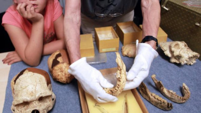 french teen finds 560 000 year old tooth