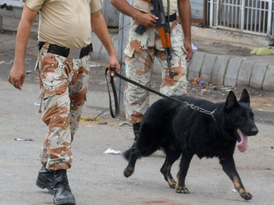 drug raid suspect arrested two dogs seized drug raid suspect arrested two dogs seized