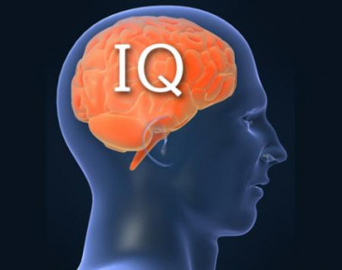 7 ways you may be ruining your iq 7 ways you may be ruining your iq