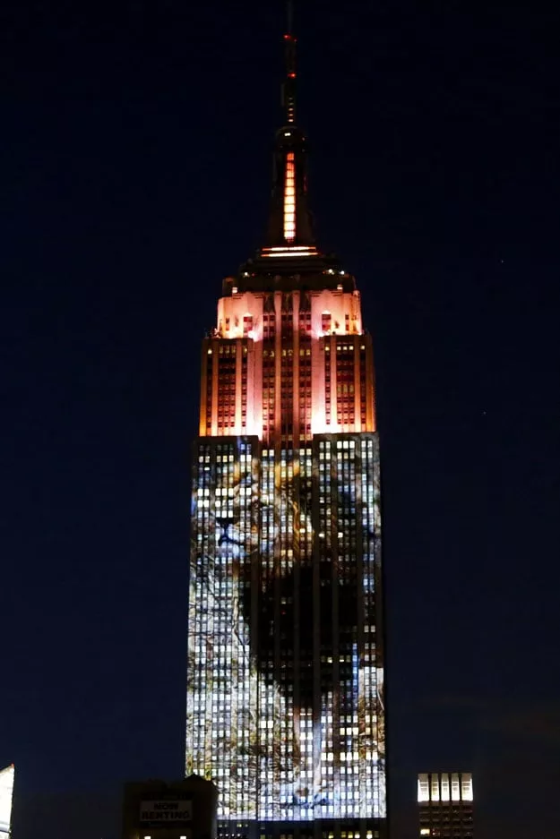 cecil the lion from zimbabwe that was killed by an american dentist is projected on the empire state building in the 039 projecting change on the empire state building 039 project made by the oscar winning director and founder of oceanic preservation society louis psihoyos and producer fisher stevens in new york on august 1 2015 photo afp cecil the lion from zimbabwe that was killed by an american dentist is projected on the empire state building in the 039 projecting change on the empire state building 039 project made by the oscar winning director and founder of oceanic preservation society louis psihoyos and producer fisher stevens in new york on august 1 2015 photo afp