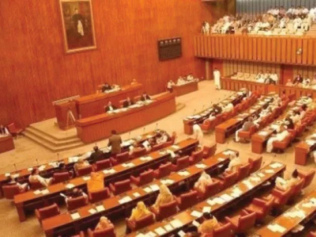 mohsin leghari is expected to introduce a constitutional amendment in the upper house photo express