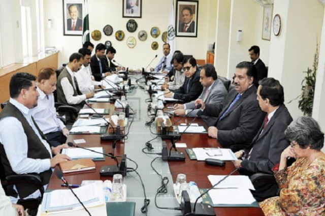 ministry of commerce looking for positive response from the eu photo inp