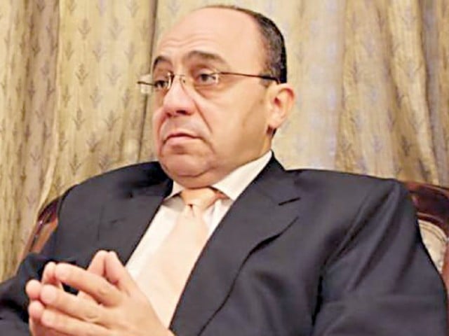 egyptian ambassador said hindam photo file