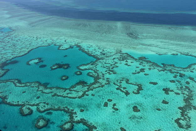 this file photo taken on november 20 2014 shows an aerial view of the great barrier reef off the coast of the whitsunday islands along the central coast of queensland photo afp