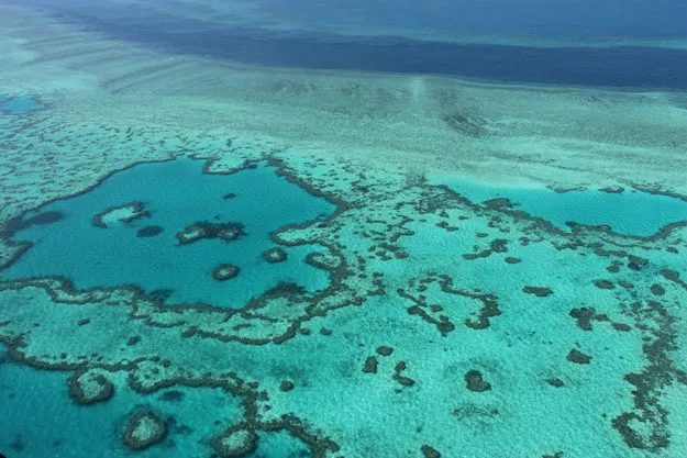this file photo taken on november 20 2014 shows an aerial view of the great barrier reef off the coast of the whitsunday islands along the central coast of queensland photo afp this file photo taken on november 20 2014 shows an aerial view of the great barrier reef off the coast of the whitsunday islands along the central coast of queensland photo afp