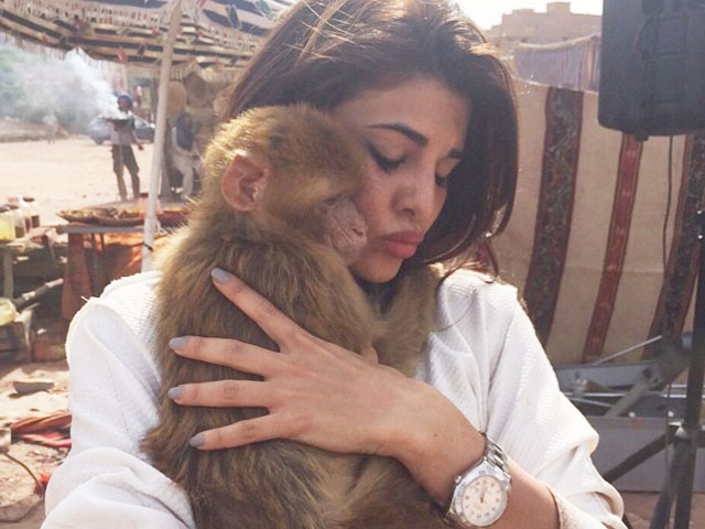 jacky met coco monkey in morocco during the shoot of her upcoming film dishoom