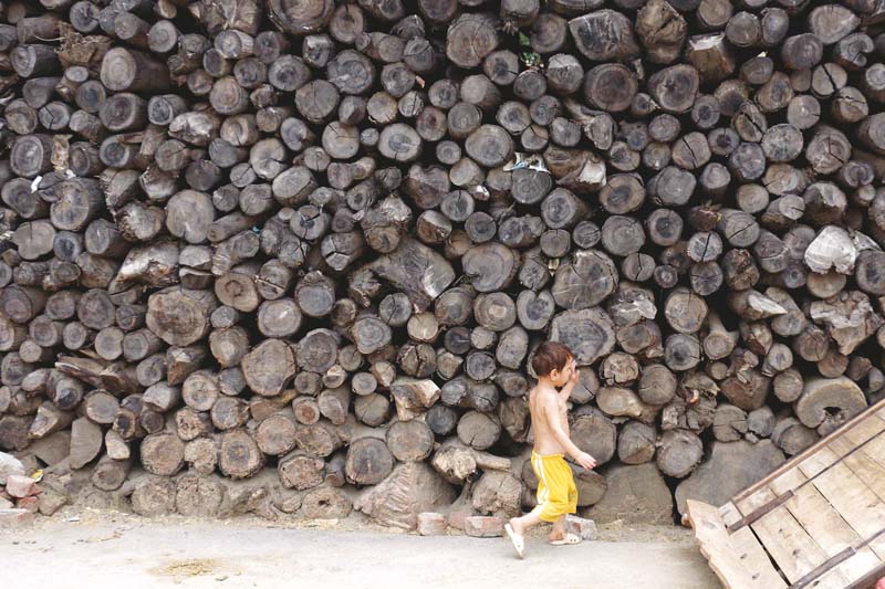 a boy plays at his father s woodcutting shop in lahore s chungi amer sidhu neighbourhood photos shafiq malik