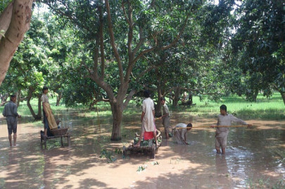 evacuate immediately flood warning issued in kalore kot