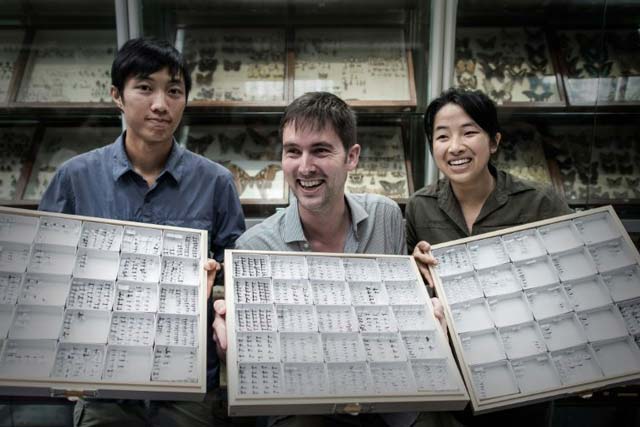 dr benoit guenard c assistant professor at the hku school of biological sciences and his team members display ant species at the hong kong university hku on august 6 2015 photo afp