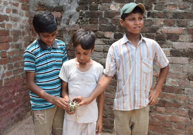 local boys showing mortar shell fired by the indian bsf photo inp local boys showing mortar shell fired by the indian bsf photo inp