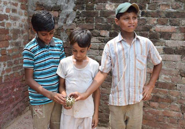 local boys showing mortar shell fired by the indian bsf photo inp