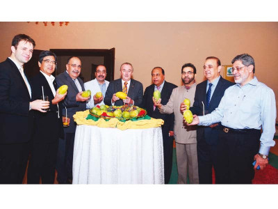 corporate corner mangoes on display for diplomats corporate corner mangoes on display for diplomats