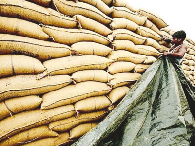 govt considers supplying wheat to utility stores