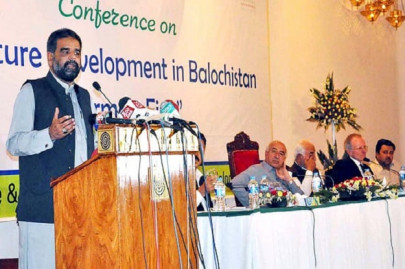 free of cost baloch farmers to get 20 000 olive plants