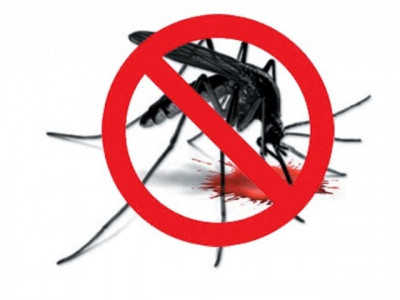 eliminating dengue public awareness to be stepped up eliminating dengue public awareness to be stepped up