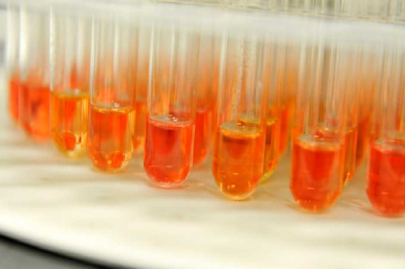 pakistan to host 48th international chemistry olympiad next year