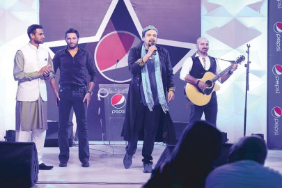 going green with the chaand sitare going green with the chaand sitare