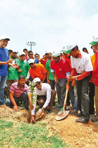 the aman foundation has taken the initiative to plant trees in the city which could prevent another deathly heatwave in the city photo press release the aman foundation has taken the initiative to plant trees in the city which could prevent another deathly heatwave in the city photo press release
