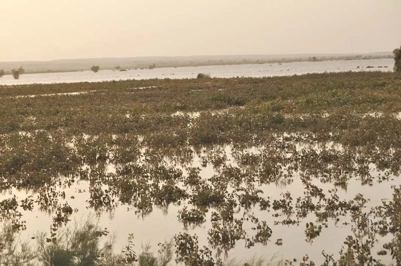 a high flood passed through the barrages of sindh on wednesday meanwhile around 92 000 residents of the katcha riverine area in thatta have been displaced by the flood photo file