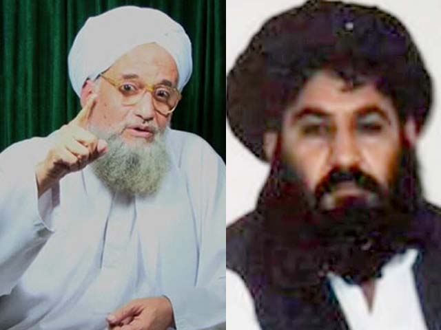 quot as emir of al qaeda i pledge to you our allegiance following the path of sheikh osama bin laden and his martyred brothers in their allegiance to mullah omar quot zawahiri said