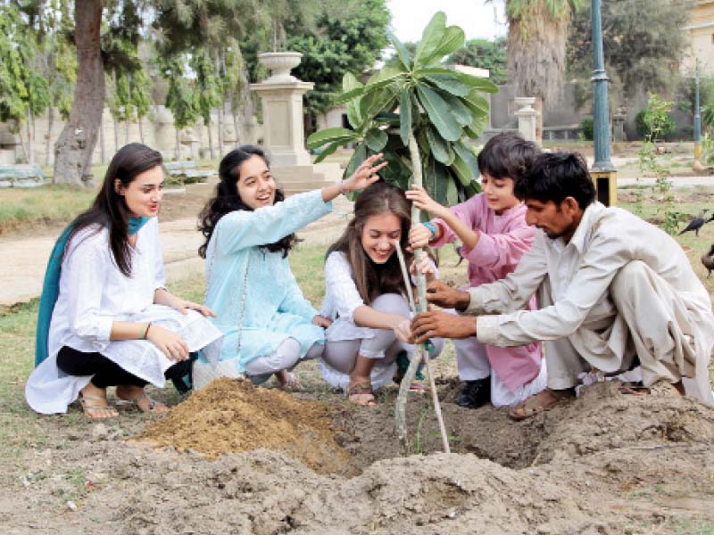 as many as 500 saplings were planted in burne s garden on independence day by tree lovers the initiative aims to give a greener look to the city photo aysha saleem express