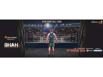 brothers deals a blow to pakistani films