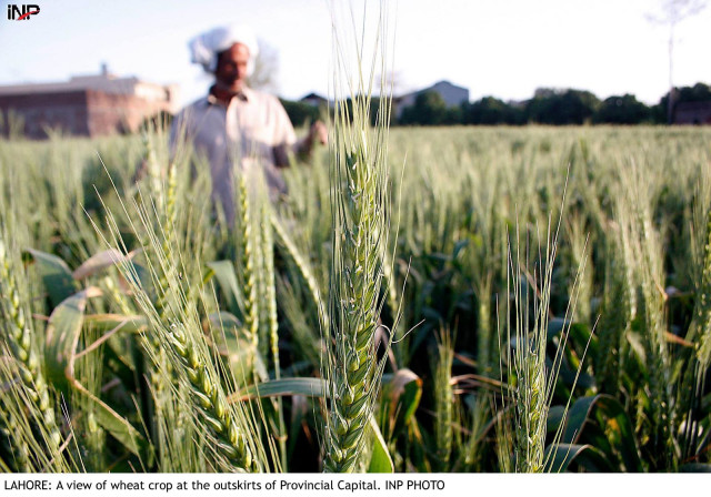 amri director said that pakistan s cropped area was 69 per cent of the cultivatable area which was 30 7 million acres photo inp amri director said that pakistan s cropped area was 69 per cent of the cultivatable area which was 30 7 million acres photo inp