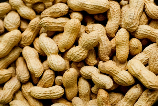 robbers make away with peanuts worth rs4 million robbers make away with peanuts worth rs4 million