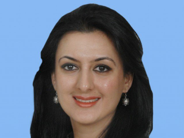a file photo of alizeh iqbal haider photo na gov pk a file photo of alizeh iqbal haider photo na gov pk