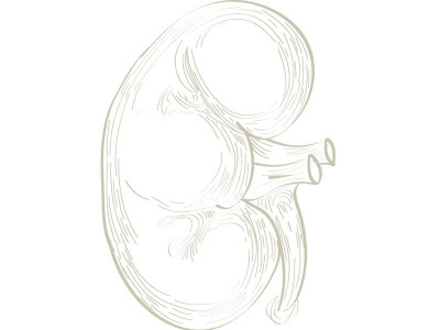 less invasive kidney treatment launched less invasive kidney treatment launched