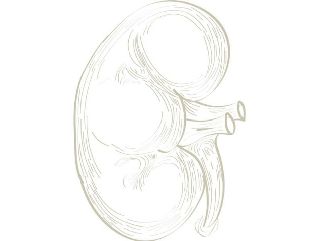 are you at risk for kidney stones find out how to steer clear of this common ailment design by hira fareed are you at risk for kidney stones find out how to steer clear of this common ailment design by hira fareed