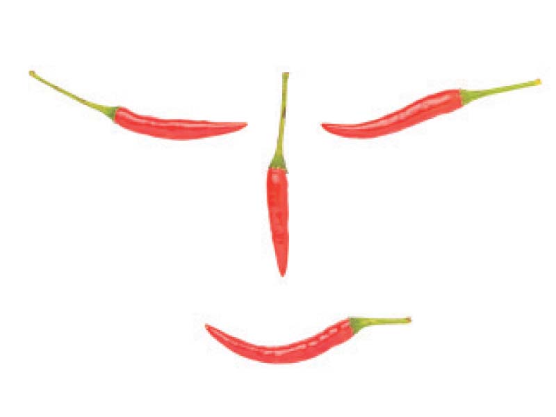 eating chillies limits obesity preventing overeating by affecting nerves in the stomach photo shutterstock