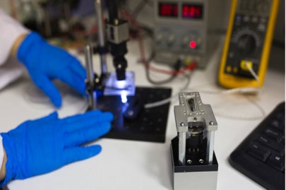 nearly complete brain grown in us lab